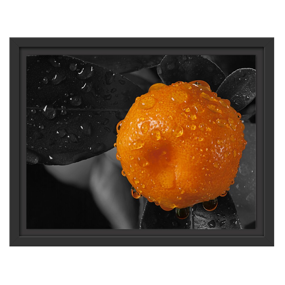 Gerahmtes Wandbild Orange mit Wassertropfen