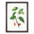 Walnut Framed selected