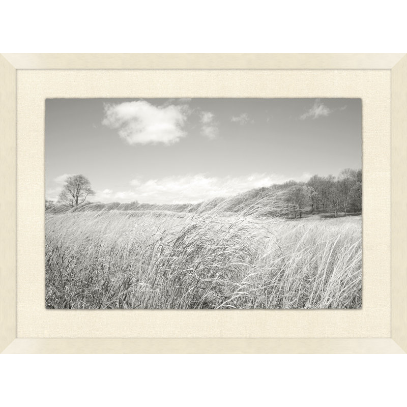 Windy Grasses Print by Lillian August