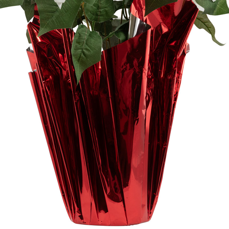 Arrangement de poinsettias, Blanc, Rouge, H 26 po x l 17 po x P 17 po