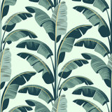Banana Leaf - Wallpaper