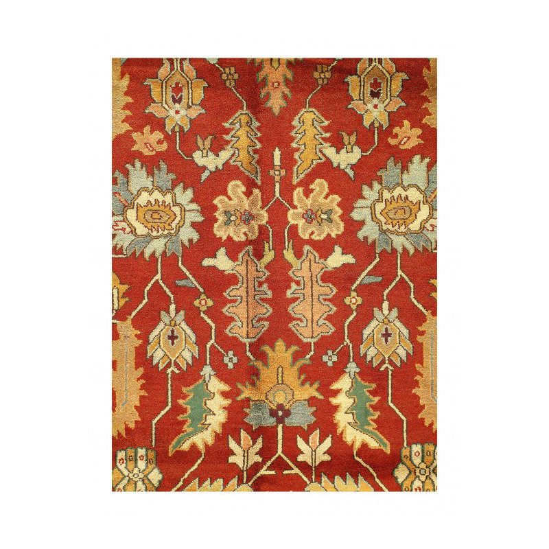 Wool Oriental Area Rug in Red/Beige