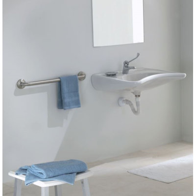 Grab Bar