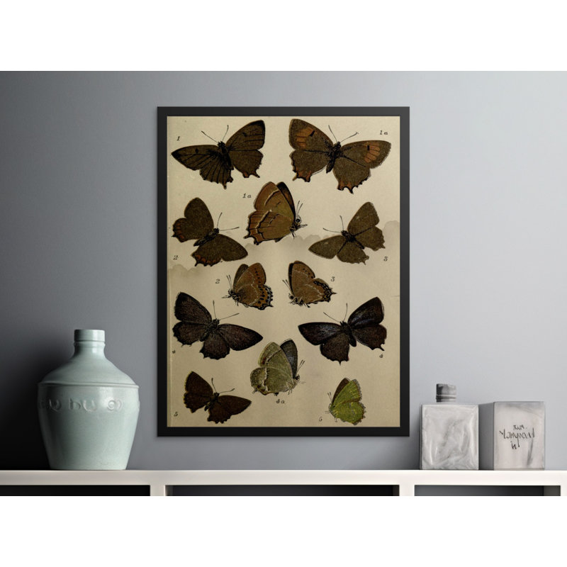 Print, 16x20