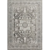 Robson Oriental Indoor Rug