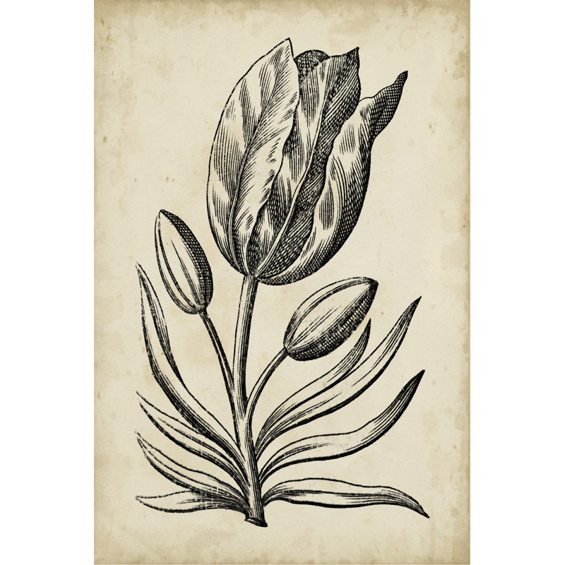 Distinguished Floral I 1 Piece Painting on Canvas, 30cm H x 20cm W, Wrapped Canvas