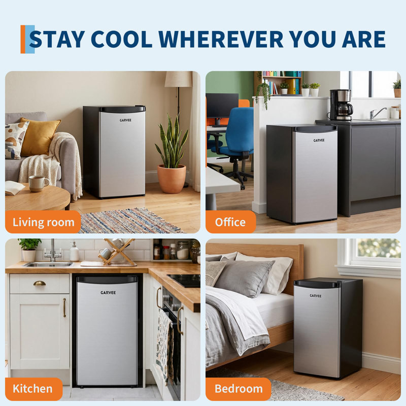 FXSGER Mini Fridge