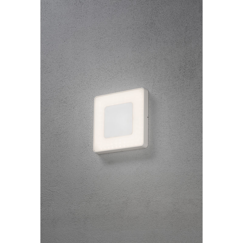 Carrara White 27cm H Integrated LED Outdoor Sconce