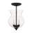 Analycia 2 - Light Matte Black Single Pendant