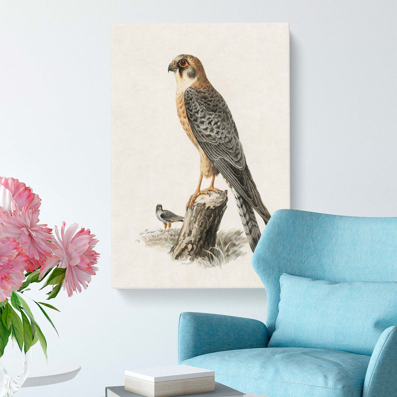 Red-Footed Falcon by Von Wright - Wrapped Canvas Print, 50cm H x 35cm W x 3cm D
