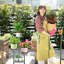 Plant Stand - Set of 4
