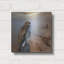  'Redtail Hawk' by Jim Brune Metal Wall Art, 12" x 12"-1150953563