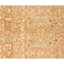 Wool Oriental Area Rug in Bronze/Ivory-1738230690