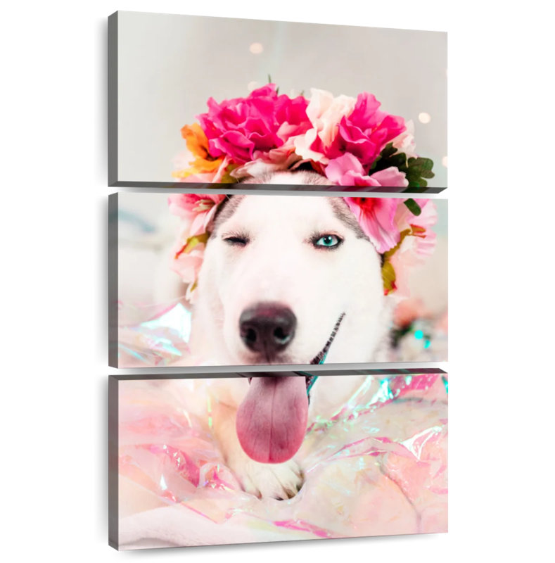 Brampt Cute Husky, 32" H x 20" W