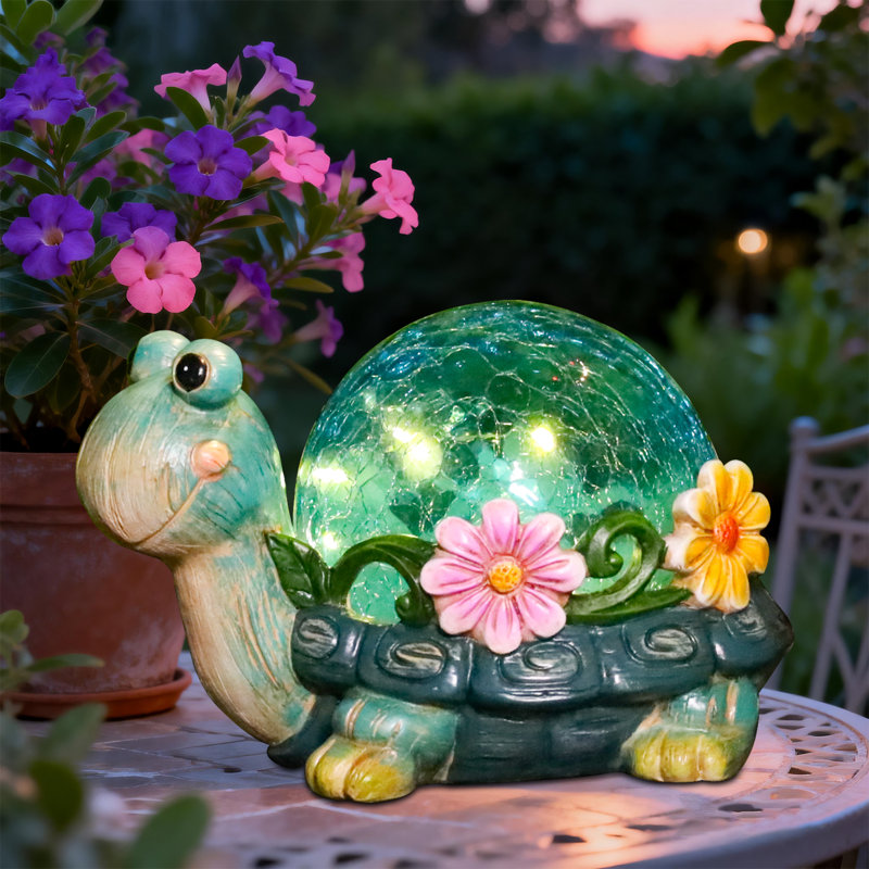 Tortues de jardin Nathoo