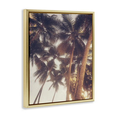 "Sunlit Palm Tree", art mural sur toile flottante par Acosta