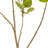 Artificial 4' Cotinus Coggygria Branch-20583959