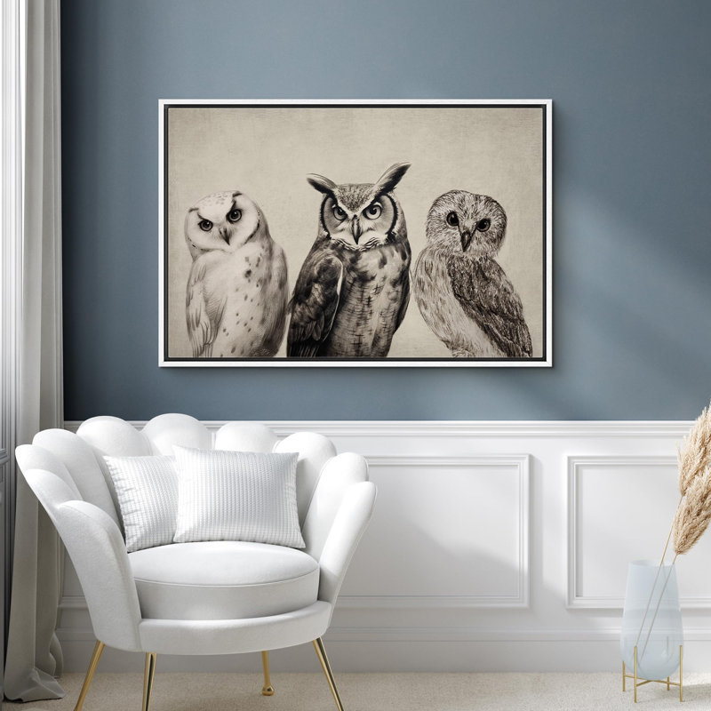 Oiseau, oiseau, bicolore, hibou, Blanc, H 24 po x l 36 po x P 1,5 po