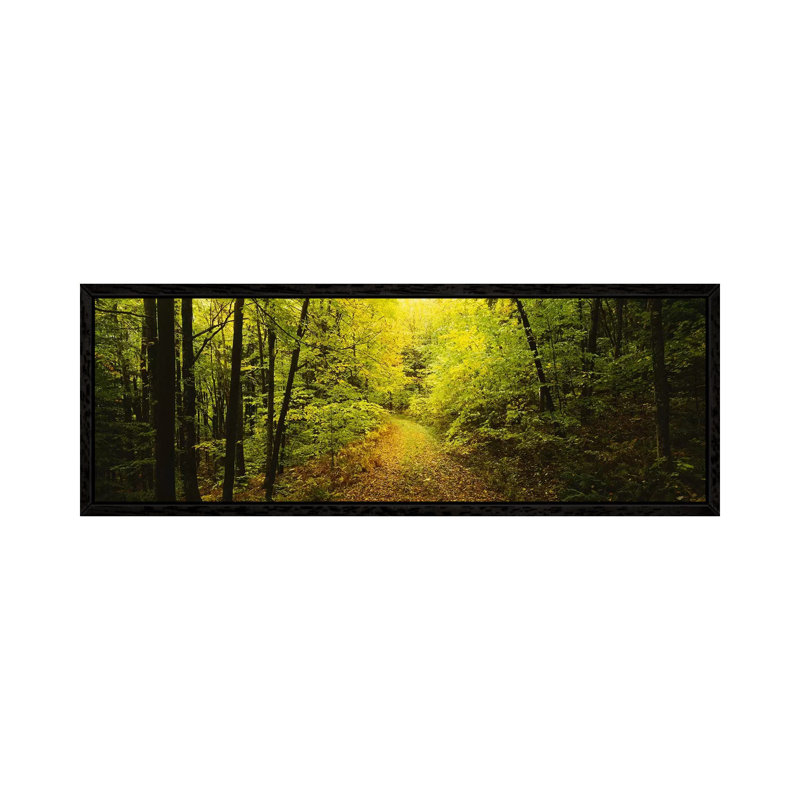 Dirt road passing through a forest, Vermont, USA 1 Piece Panoramic Wall Art on Canvas, 182.88 cm H x 60.96 cm W