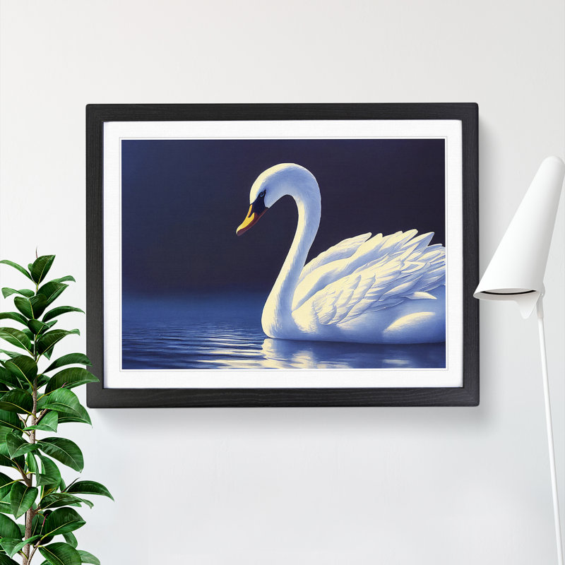 Ravishing Swan - Single Picture Frame Print, Black Framed, 46cm H x 64cm W x 2cm D