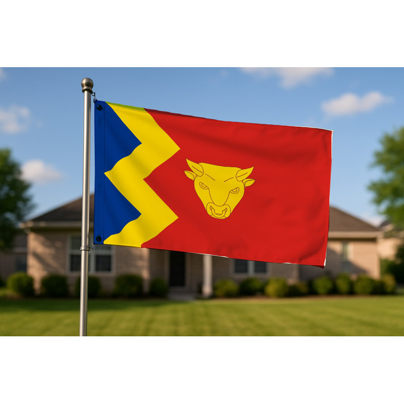 Birmingham City Flag — Flag