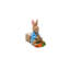 Beatrix Potter Peter Rabbit