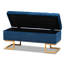 Velvet Tufted Rectangle Solid Colour Ottoman with Storage-527571671
