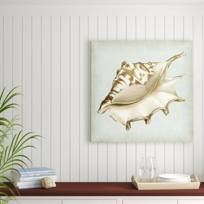 Sea Dream Shells IV by Vision Studio - Wrapped Canvas Painting