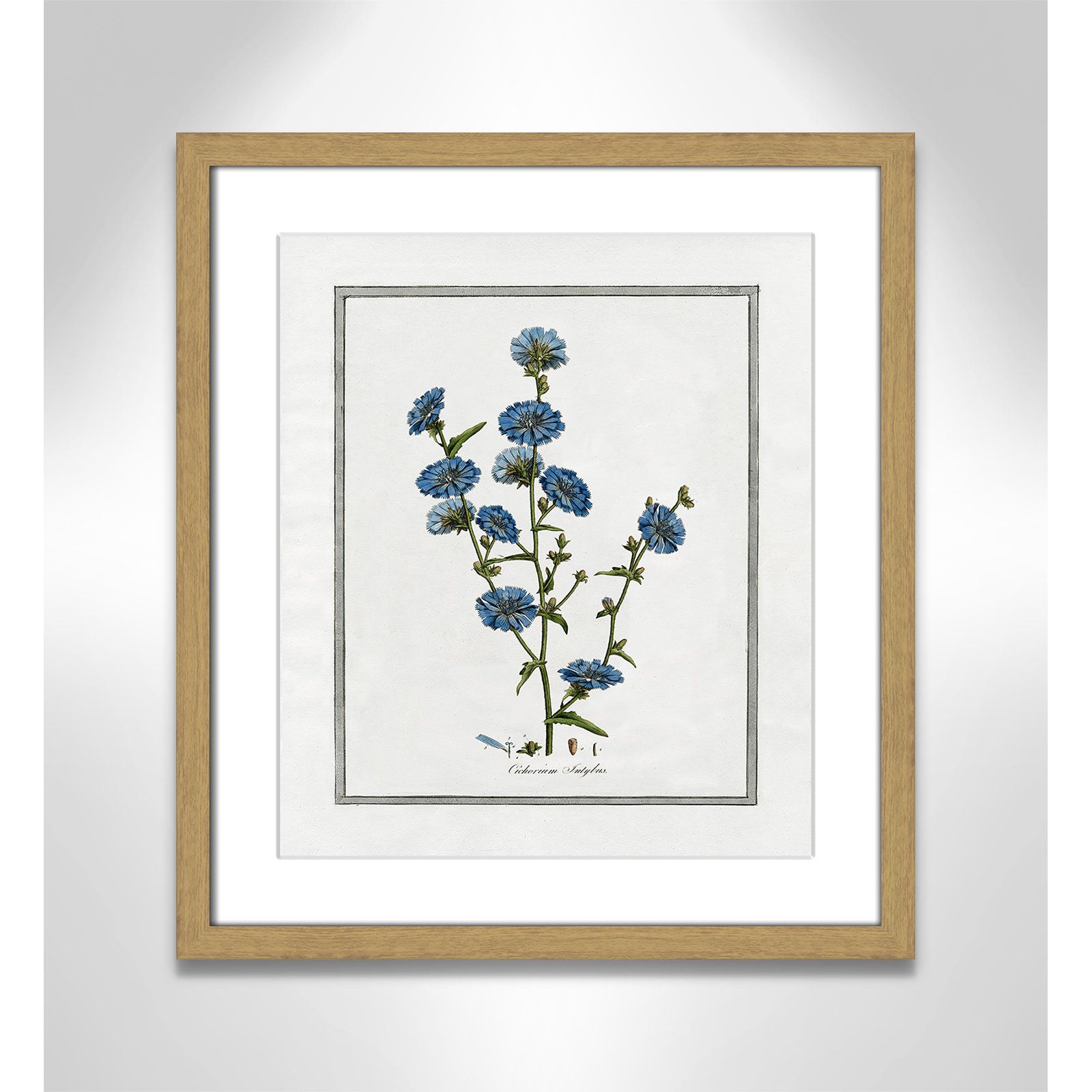 Colombe "Soft Botanical I" Print, 13" W x 15" H, Natural Framed