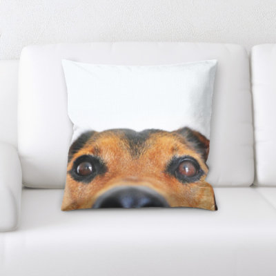 Aiden Microsuede Reversible Throw Pillow