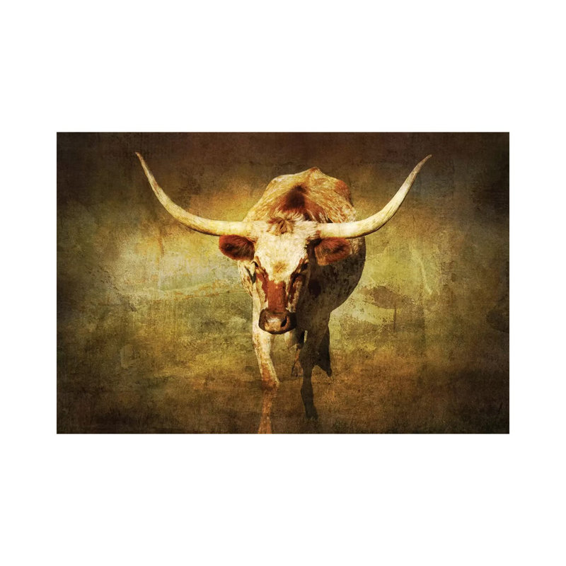 Steer 1 by Rhonda Thompson - Wrapped Canvas Print, 66.04 cm H x 45.72 cm W x 1.91 cm D