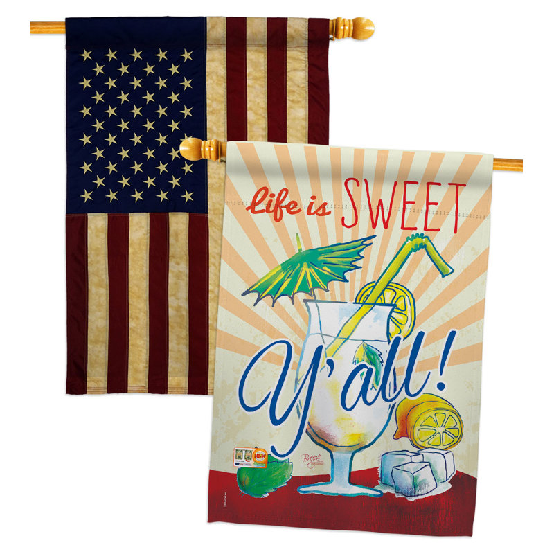 Double Sided 40'' H x 28'' W Polyester House Flag