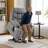 Power Recliner Lift Chair with Extended Footrest with USB & Type-C Charging, Fabric-115632729