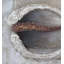 Berna Dragon Eye - Single Picture Frame Painting on Canvas
