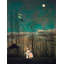 Carnival Evening by Henri Rousseau - Wrapped Canvas Painting-1160250338