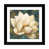 Black Framed Paper n'est pas disponible