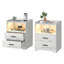 2 Drawer Bedside Table with Charging Station and Human Sensor Light-126012807
