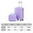 14"/20" 2 Pcs/Set In ABS Spinner Wheel Luggage