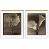 Sepia Flowers 5 Print by Bespoke By Baker
