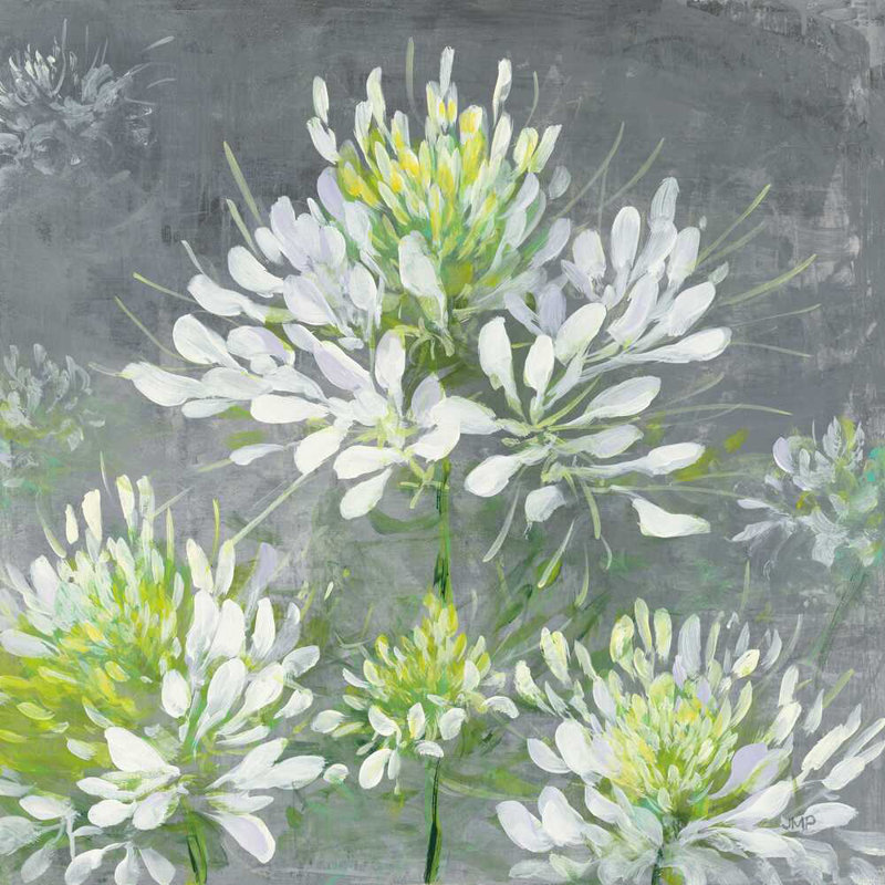 Farmhouse Cleome I, H 30 po x l 30 po