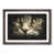 Walnut Framed selected
