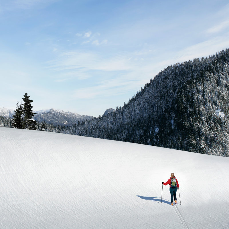 Woman Back Country Skiing by Sharply_done - Wrapped Canvas Art Prints, 122cm H x 122cm W x 3.8cm D