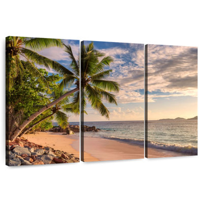 Gillard Golden Sunset Palms