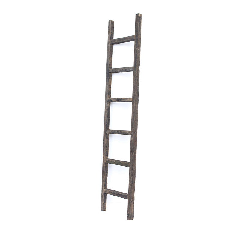 Étagère échelle en bois Orla, (5 tablettes) H 57 po x l 15 po x P 5 po, Turquoise