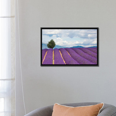 " Ready For Harvest, Provence, France " by Jim Nilsen