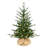 2.2' Pre-Lit Christmas Tree