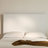 Stephanie Upholstered Bed-120024292-134121826