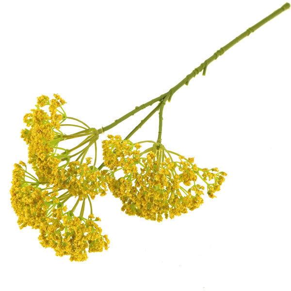 Arrangement, Yellow