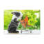 No Frame Print on Canvas-541778670