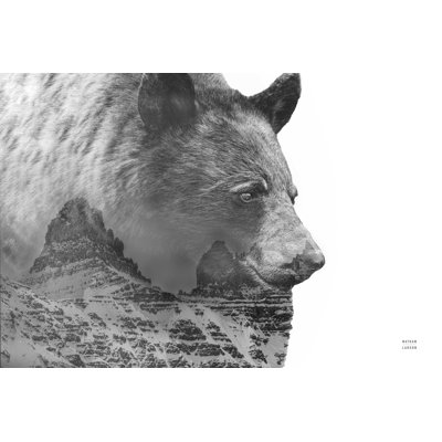 Mountain Bear - impression sur toile tendue